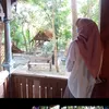 emysuci1