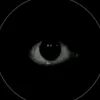 di_vinoo