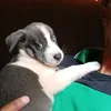 patricio_3211