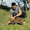 Rufa'cats