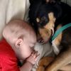 mommymayhem11