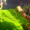 blitz_876