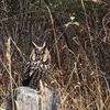 allanmcneil67