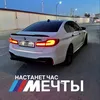 nva_313