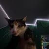 kluseekxd