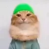 yasrinnnn