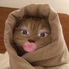 lisaamndaaaa