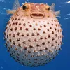 snalyar