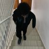 lilmatthewp7