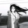 angelsfishs