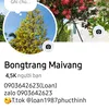 loan1987phucthinh