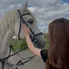 kazhin_harki