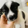 sammi20_6