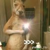 kalonchito24