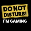 dont_disturb_im_gaming