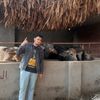 elhfnawy29