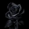user974092904