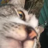 rei_fbry
