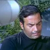 birumut337