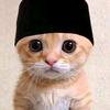kucing_ramadhan02