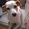 _.piwi.._