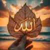 @Ariyen Afridi 075