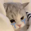 nguyennhiuu6