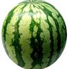 ukrainian_watermelon