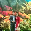 manh.linh61