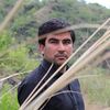 gulwahid441