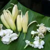 yayang061