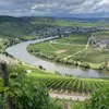 marltronn
