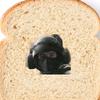 offical_bread_bandit