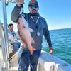 kyriverrat87