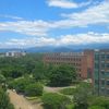 lupanama_734