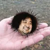 yamapppppppppppp