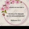lagloriaesdedios4