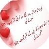 user321941504saifmughal