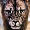 levdasavage_21
