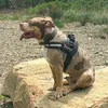 bigboybenson1