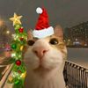 sasha_10203040