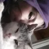 stephynuv