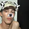 kervillysilva