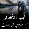 user74400483146991