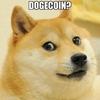 dogedavani