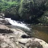 renatonanba
