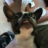 mrpups07