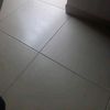 etcddg