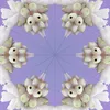 bahaminata2