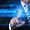 mrforex2244